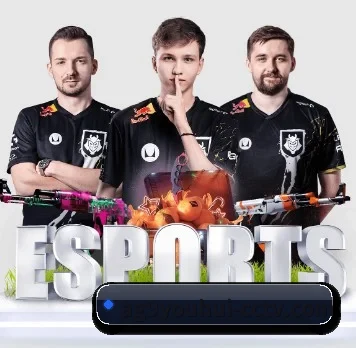 移动端改版发布
